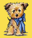 yorkies.jpg (originál)